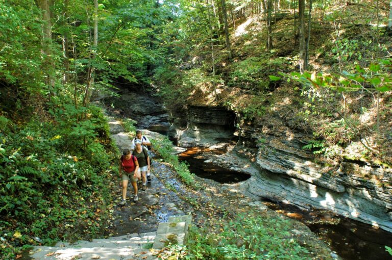 Three people hike on a rocky trail beside a creek, surrounded by lush green trees and steep rock walls in a forested gorge.
