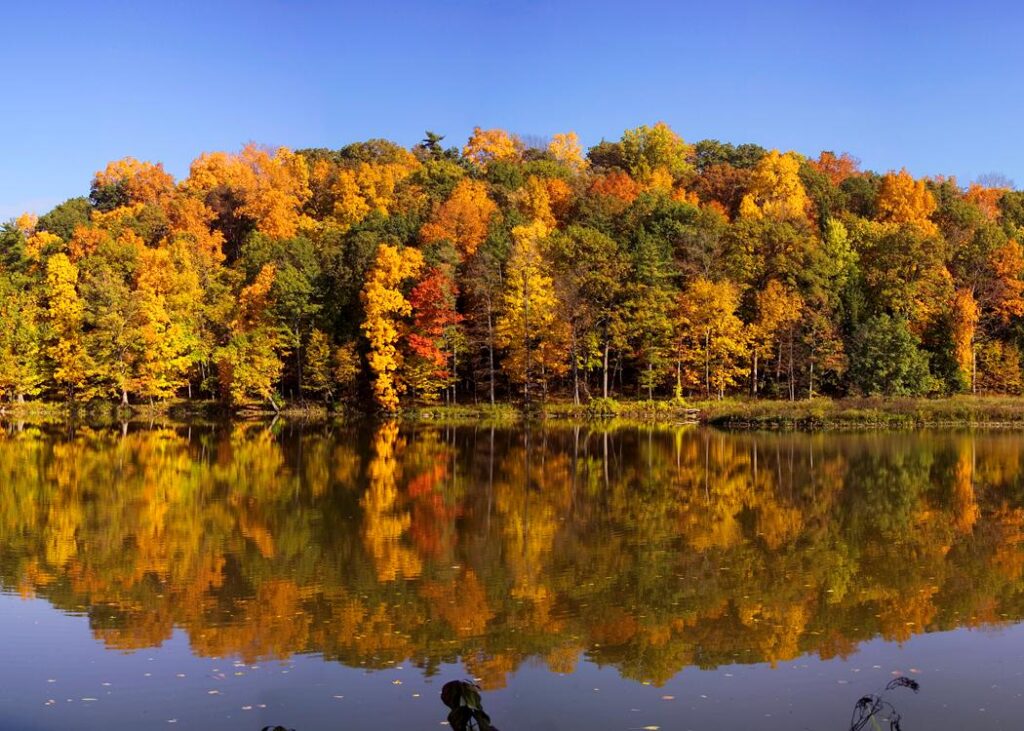 Calm lake reflecting colorful autumn trees in yellow, orange, and red beneath a clear blue sky.