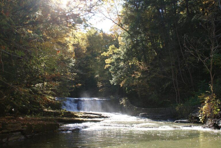 Waterfall flowing over rocks into a calm stream, surrounded by dense trees and sunlight filtering through the leaves.
