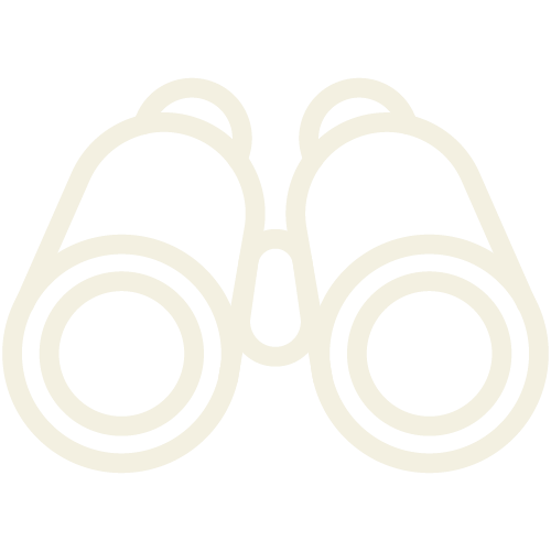 Binoculars Beige
