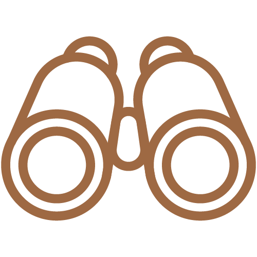Binoculars Brown