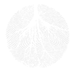 Climate Justice Cornell Logo